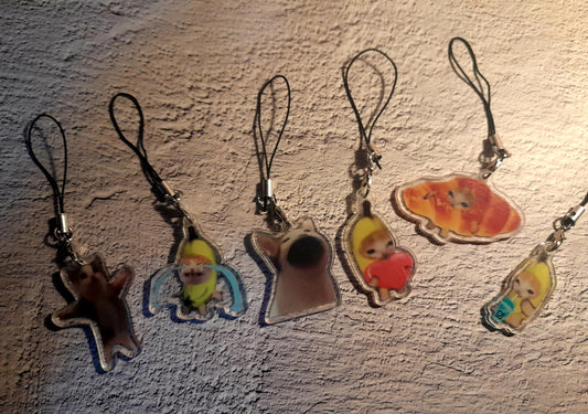 Cat Meme Keyrings